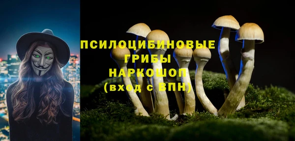 меф Арсеньев