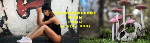 не бодяженный Новокубанск