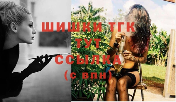 spice Аркадак